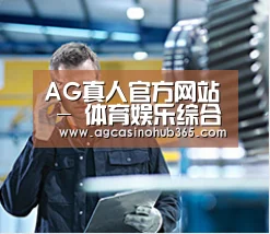 研发能力标题四