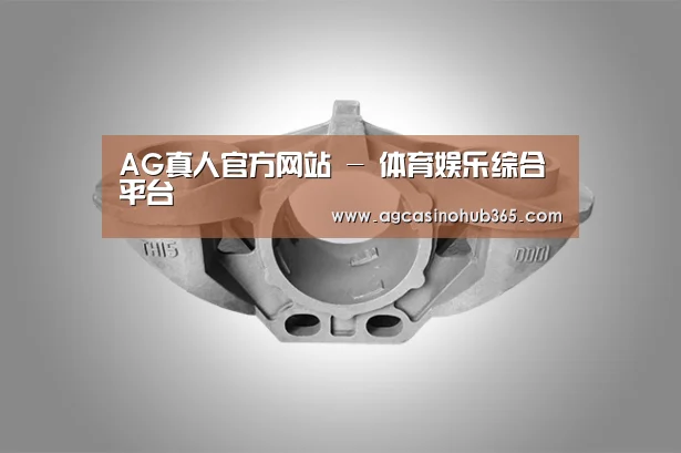 产品展示标题三